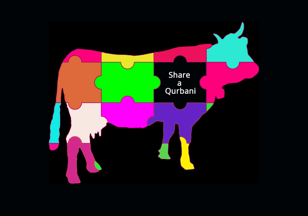 cow banner